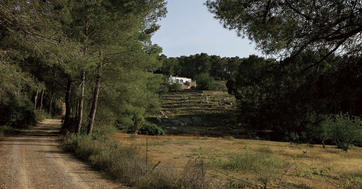 casa en el campo sant joan de labritja