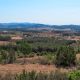 Puig des Forn Nou, ruta en bicicleta