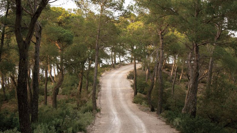 Sa Talaia hiking route