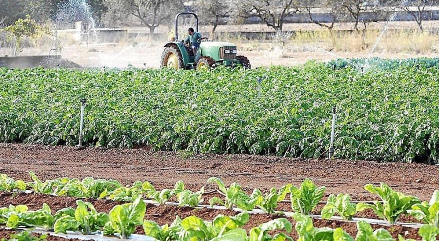 Agricultura ecológica