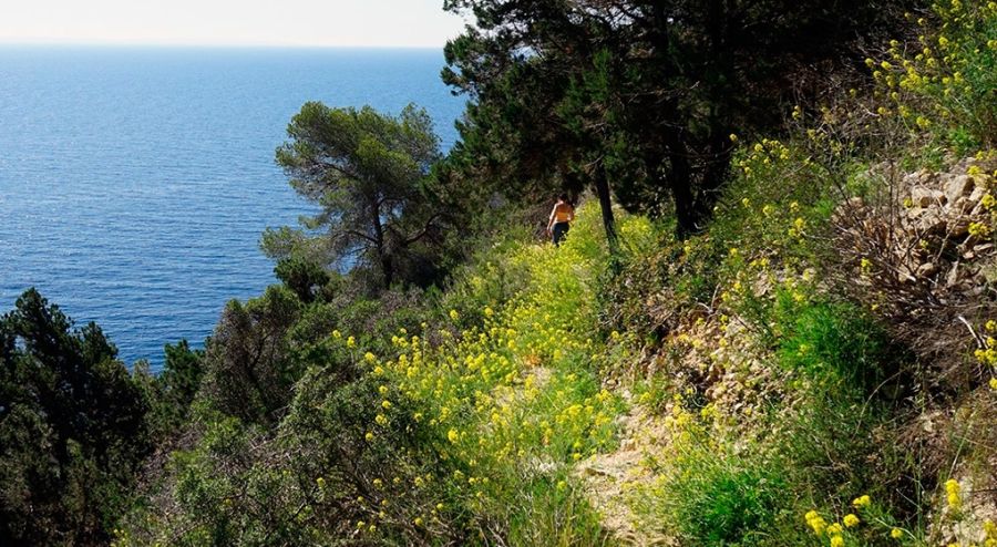 Walking to Cala Llentrisca