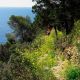 Caminando a Cala Llentrisca