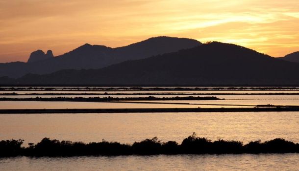 Reserva Natural de Ses Salines