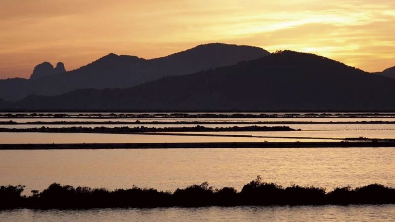 Natural site in Ibiza of Ses Salines